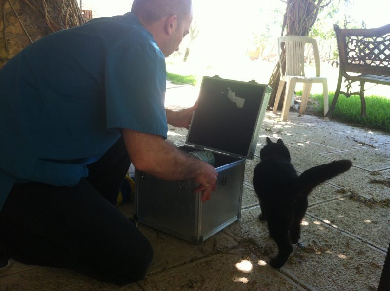 וטרינר כפר גליקסון – ביקור בית