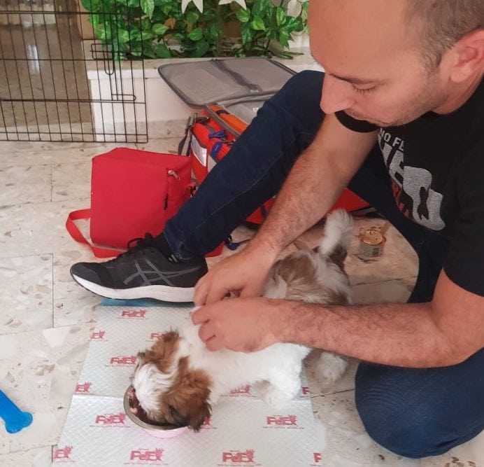 וטרינר פרדס חנה – ד”ר צדוק שיפרוט